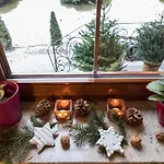 Bed & Breakfast Pokusa Szczawnica